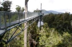 Hobart Shore Excursion: Grupo pequeno Mt Wellington e Tahune AirWalk