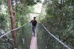 Excursión de un día a Taman Negara desde Kuala Lumpur