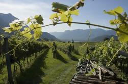 Tour du vin Amarone