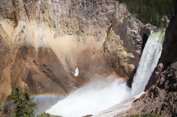 Full-Day Yellowstone Wildlife Safari Tour Van Jackson Hole