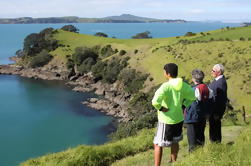 Maori passeio com degustação de vinhos em Waiheke Island