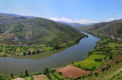 Porto Wine Tour Hele dag