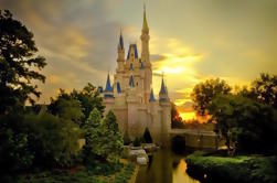 Disneyland or Disneysea 1-Day Passport Ticket and Private Transfer from Tokyo