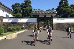 Tokyo Biking Tour by Electric-Powered Bike