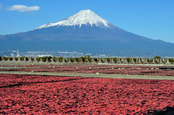 Mt Fuji Private One-daagse tour door Chartered Vehicle vanuit Tokio