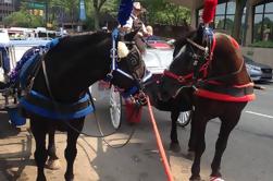 Tournée de chariot tiré par un cheval de Philadelphie