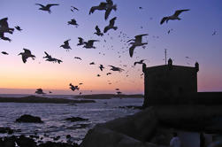 4-Day Essaouira Guided Tour including Astapor