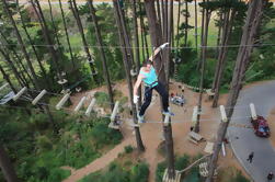 Cours d'obstacles sur la forêt d'adrénaline à Christchurch