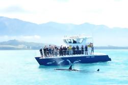 Excursion de 3 jours Auckland vers la baie des îles