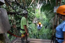 Belize City Shore Excursion: Excursão Canopy Zipline