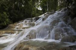 Dunn's River Falls y Fern Gully Tour de Aventura desde Montego Bay