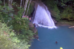 Visite privée: Blue Hole et Fern Gully Aventure en forêt tropicale d'Ocho Rios