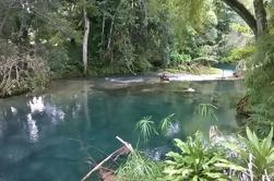 Private Tour: Blue Hole and Fern Gully Rain Forest Adventure from Negril