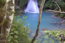 Private Blue Hole y River Gully Rainforest Adventure Tour desde Montego Bay