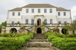 Luminous Lagoon e Rose Hall Haunted Night Tour de Montego Bay