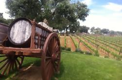 Private Winery Besuch und Tour von Ronda aus Marbella