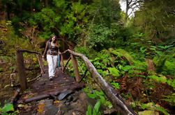 Excursão de caminhadas em São Miguel Açores a Faial da Terra