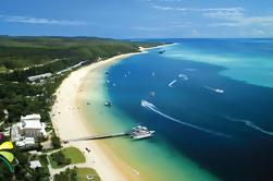 Moreton Island et Tangalooma Croisière de la Gold Coast avec option Dolphin Adventure