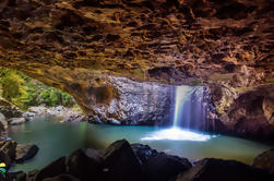 Springbrook Natural Arch et Bush Tucker Excursion d'une journée à la Gold Coast