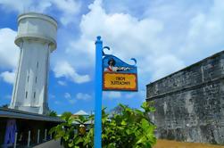 Descubra o passeio turístico de Nassau mais a visita do recurso de Atlantis