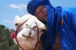 Camel Ride op het strand van Essaouira