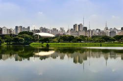 Excursão Privada: City Tour de São Paulo