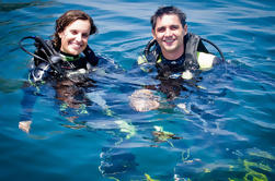 Buceo de día completo para principiantes en el Parque Nacional Coiba