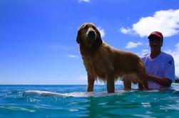 Surf Lessons on the North Shore of Oahu