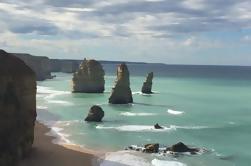 Half-Day Private Great Ocean Road and 12 Apostles Express Tour from Melbourne