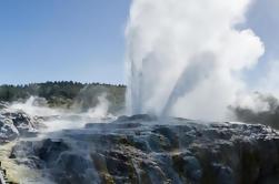 Spennende Rotorua Dagstur fra Auckland