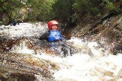 Half Day Cradle Mountain Canyoning: Cañón del mundo perdido