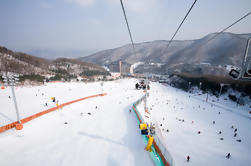 Viaje de nieve desde Seúl