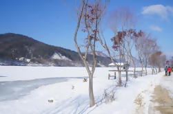 Excursión de un día a la estación Elysian Gangchon Ski & Nami Island