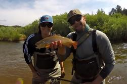 Denver Fly Fishing Wade Trip