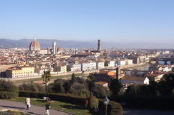 Tour de Florença com Vistas Panorâmicas e Aperitivo