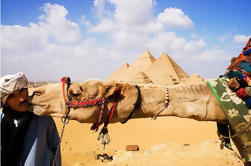 Day Tour to Cairo from Hurghada by Flight