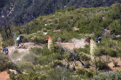 Día del Enduro de la bici de montaña del Mt Wilson