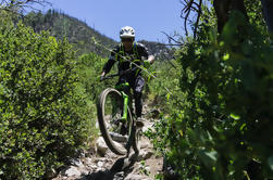 Shuttle para o topo de Mt Wilson para uma única corrida