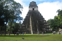 2-Tagesausflug nach Tikal und Yaxha Ruinen