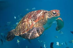 Snorkel de 3 dias A bordo do Takua Pa de Khao Lak