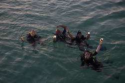 PADI Especialidade Mergulho Nocturno em Tenerife