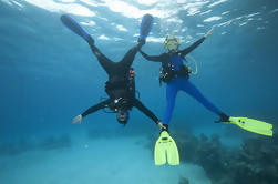 PADI Peak Performance Buoyancy Especializado em Scuba Dive em Tenerife