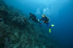 Curso PADI Rescue Diver em Tenerife