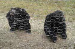 Tour de la tarde de la observación de Ol Pejeta de Nairobi