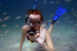 Punta Negra Buceo en Mallorca