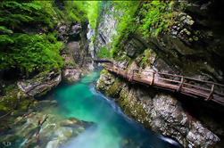 Excursión autodirigida de medio día de Vintgar Gorge a eBike de Bled