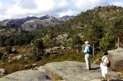 Cascades et montagnes Visite du parc national de Peneda-Gerês