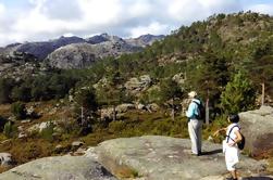 Waterfalls and Mountains Tour of Peneda-Gerês National Park