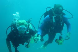 Essayez la plongée dans la belle mer d'Andaman