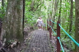 Opknoping Bruggen en La Fortuna Waterfall Nature